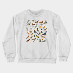 Great collection of birds illustrations Crewneck Sweatshirt